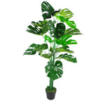 Split-Leaf Monstera Display Plant - 120 cm - view 2