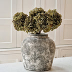 Muted Green Hydrangea Display Stem - 52 cm - view 1