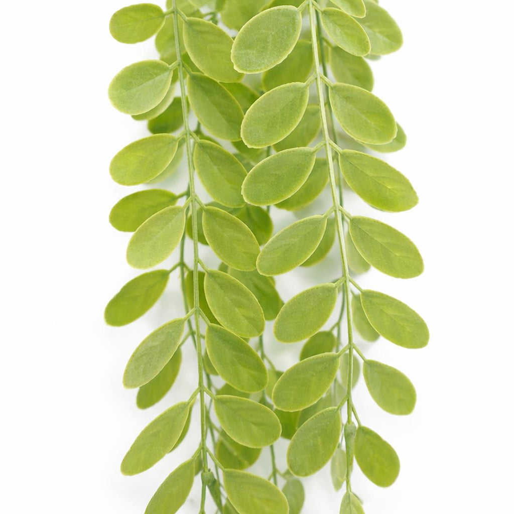 Trailing Roundleaf Greenery Spray - 90 cm - view 5
