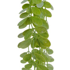 Trailing Roundleaf Greenery Spray - 90 cm - view 3