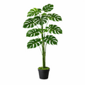 Split-Leaf Monstera Display Plant - 120 cm - view 1