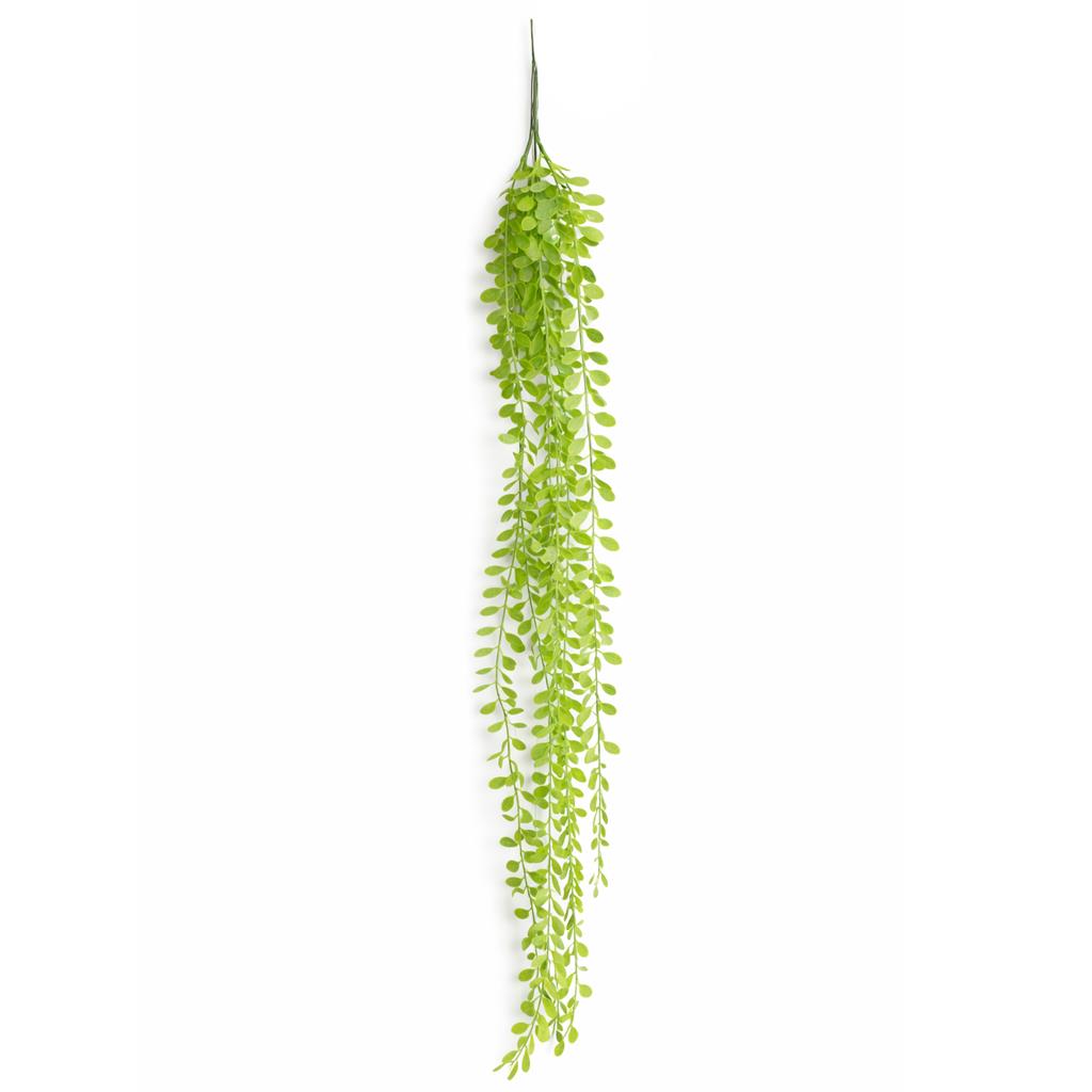 Trailing Roundleaf Greenery Spray - 90 cm - view 1