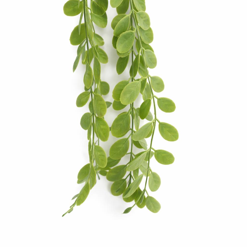 Trailing Roundleaf Greenery Spray - 90 cm - view 4