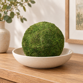 Preserved Moss Display Spheres