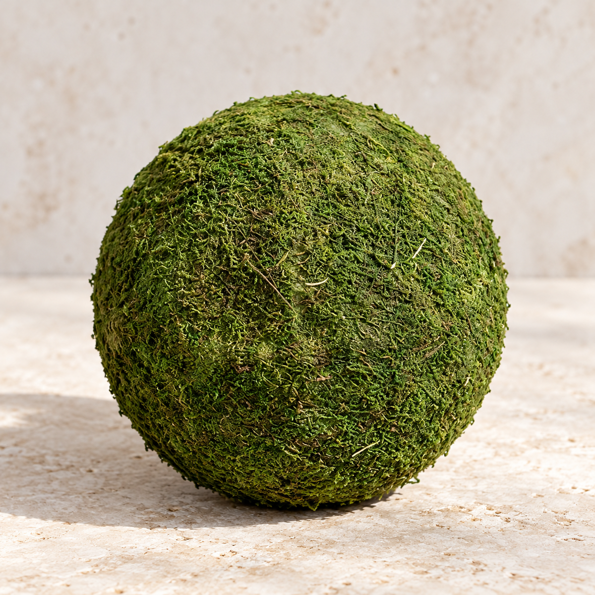 Preserved Moss Display Spheres