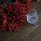 Wine Dahlia Flower Bushes - Set of 2 - view 4