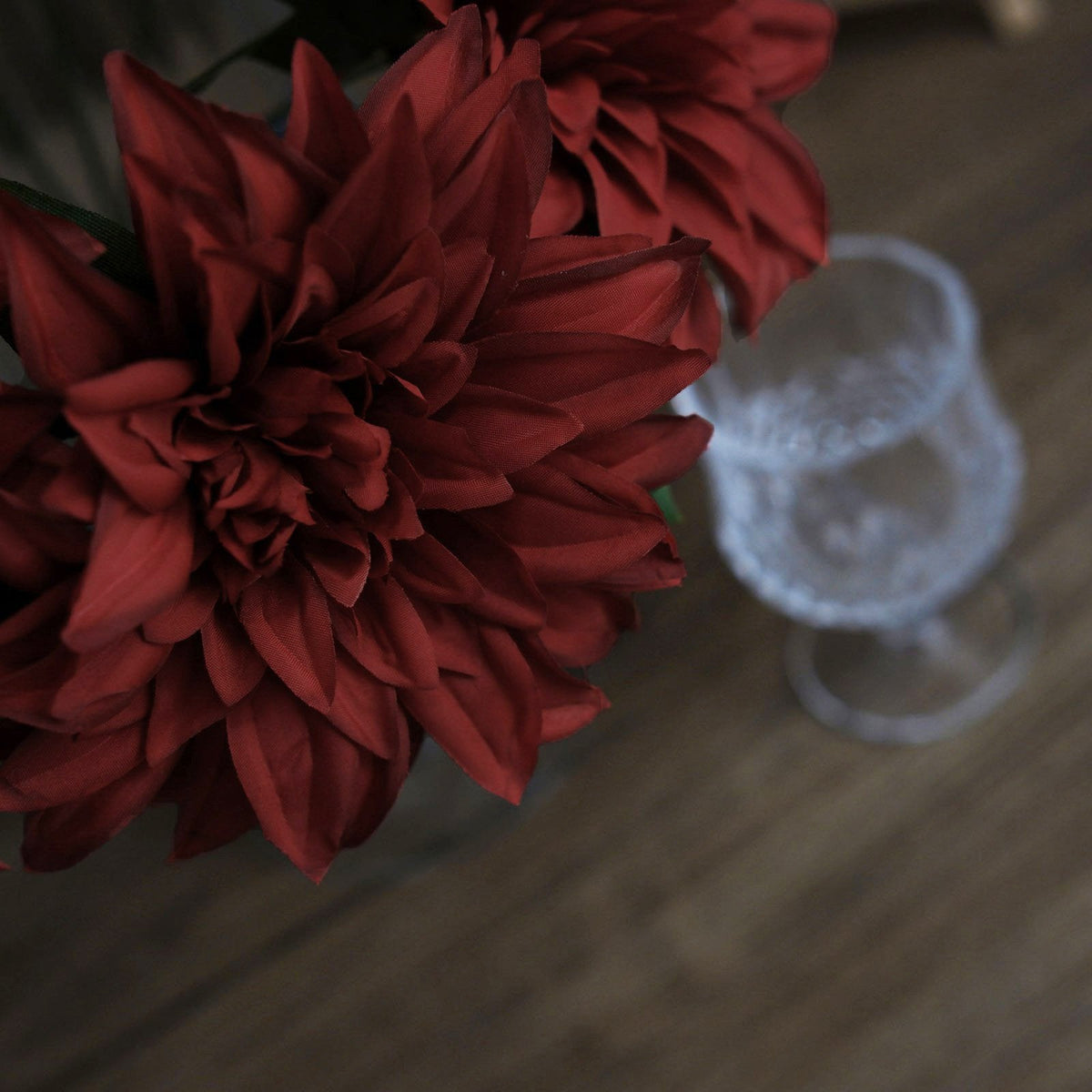 Wine Dahlia Flower Bushes - Set of 2 - view 4