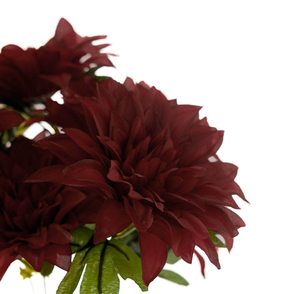 Wine Dahlia Flower Bushes - Set of 2 - view 7