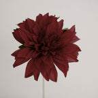 Wine Dahlia Flower Bushes - Set of 2 - view 8