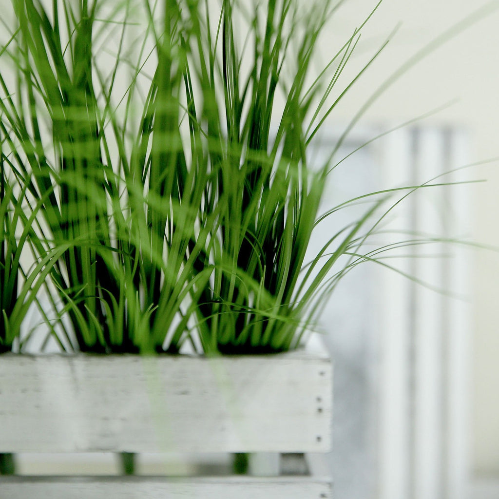 Meadow Grass Arrangement Sprays - Set of 3 - view 7