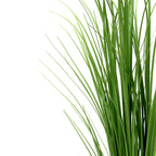 Meadow Grass Arrangement Sprays - Set of 3 - view 9