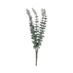 Silvergreen Eucalyptus Foliage Bundle - 30 Stems - view 3