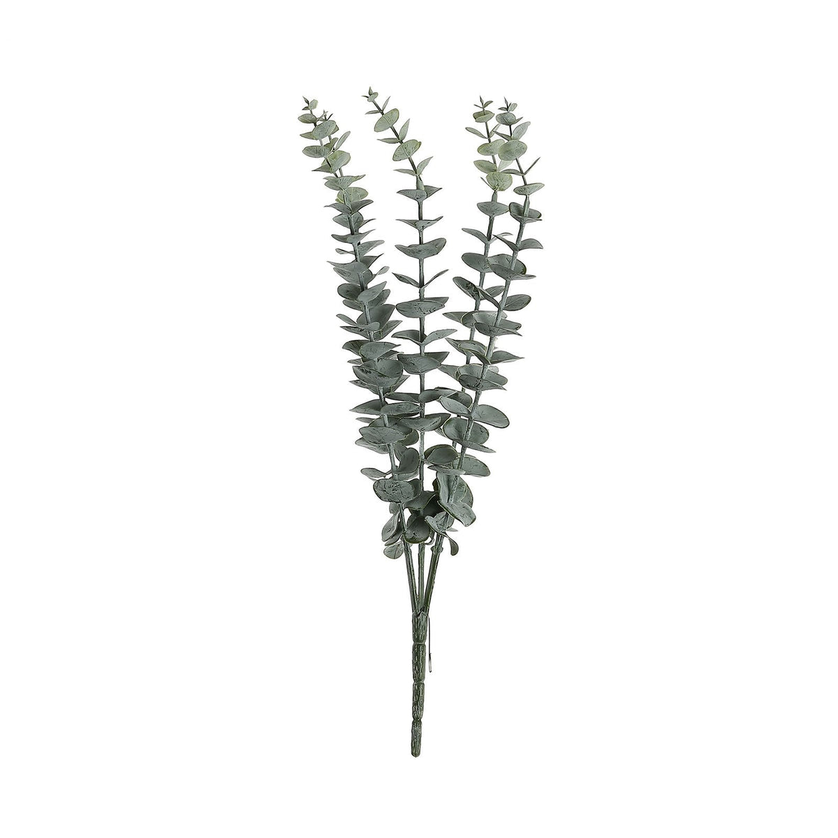 Silvergreen Eucalyptus Foliage Bundle - 30 Stems - view 3