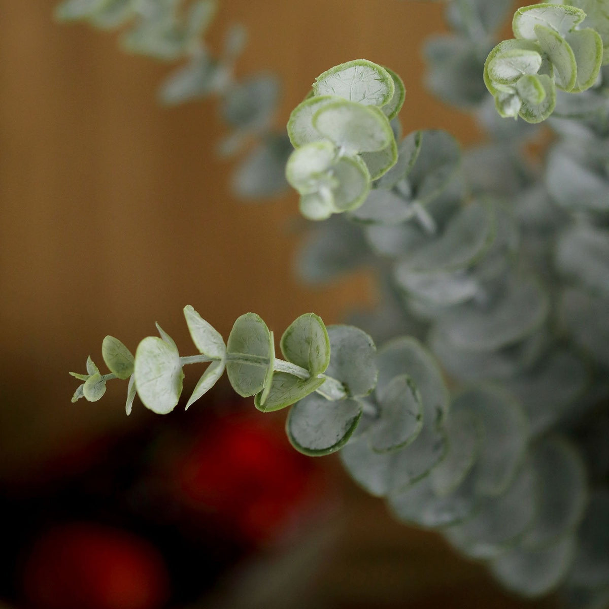 Silvergreen Eucalyptus Foliage Bundle - 30 Stems - view 9
