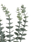Silvergreen Eucalyptus Foliage Bundle - 30 Stems - view 12