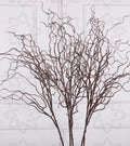 Twisting Willow Display Branches - Set of 3 - view 1