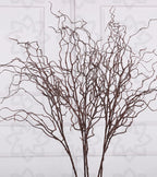 Twisting Willow Display Branches - Set of 3 - view 1