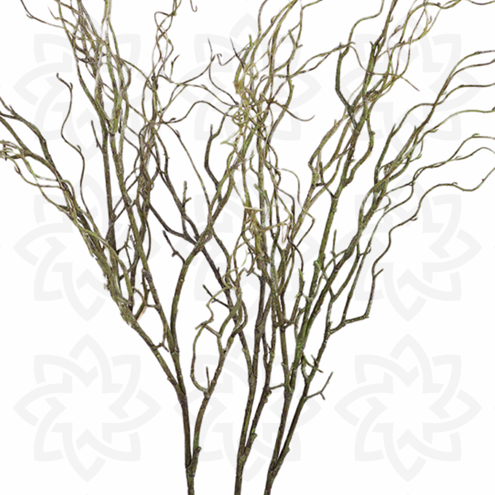 Twisting Willow Display Branches - Set of 3 - view 2