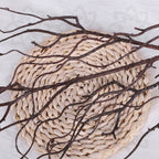 Twisting Willow Display Branches - Set of 3 - view 5