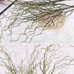 Twisting Willow Display Branches - Set of 3 - view 6