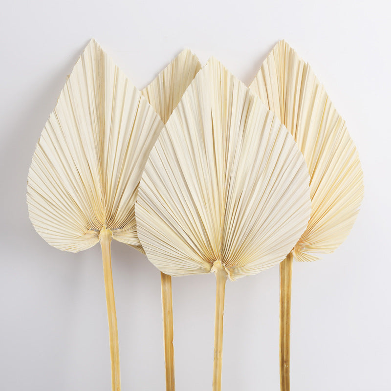 Dried Fan Palm Accent Leaf - view 2