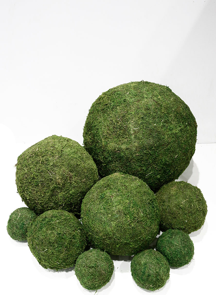 Preserved Moss Display Spheres - view 1