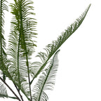 Tall Woodland Fern Spray - 100 cm - view 7